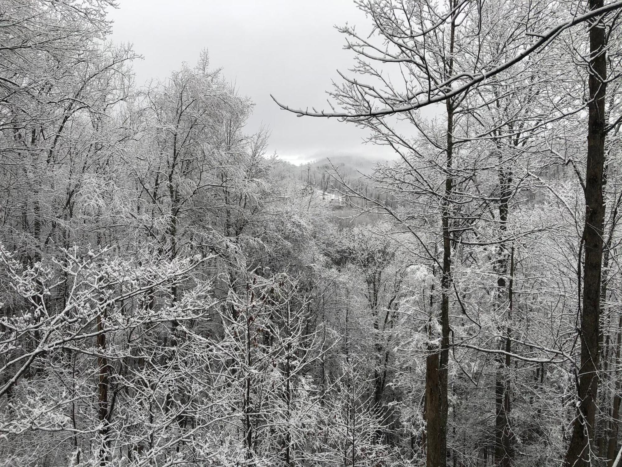 Black Bear Cove Gatlinburg Kültér fotó