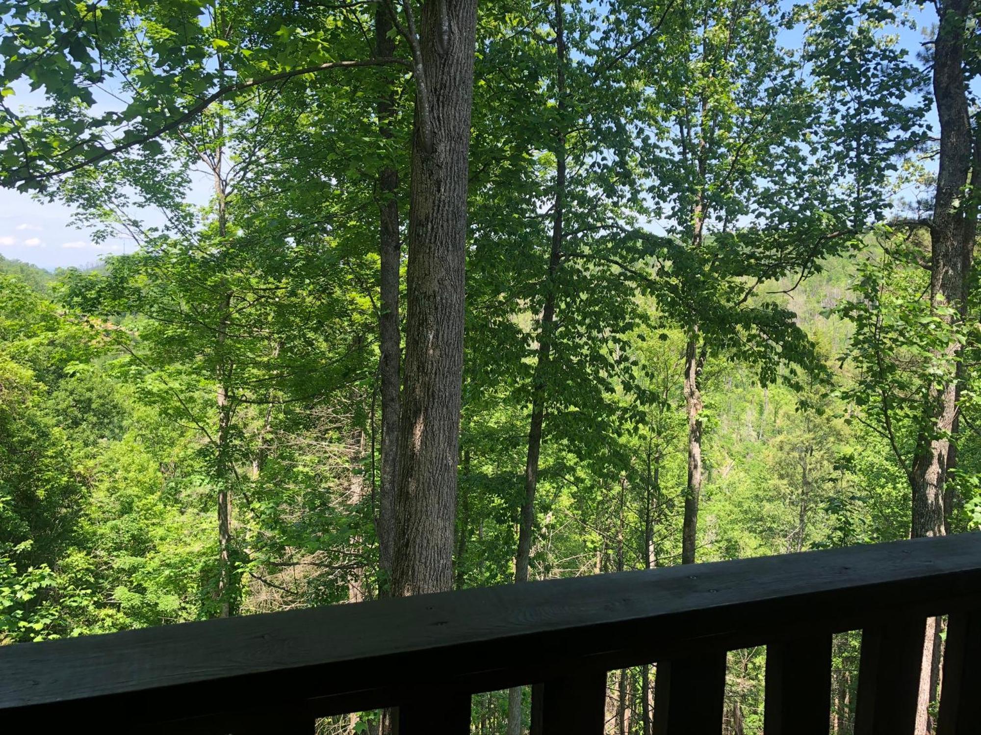 Black Bear Cove Gatlinburg Kültér fotó